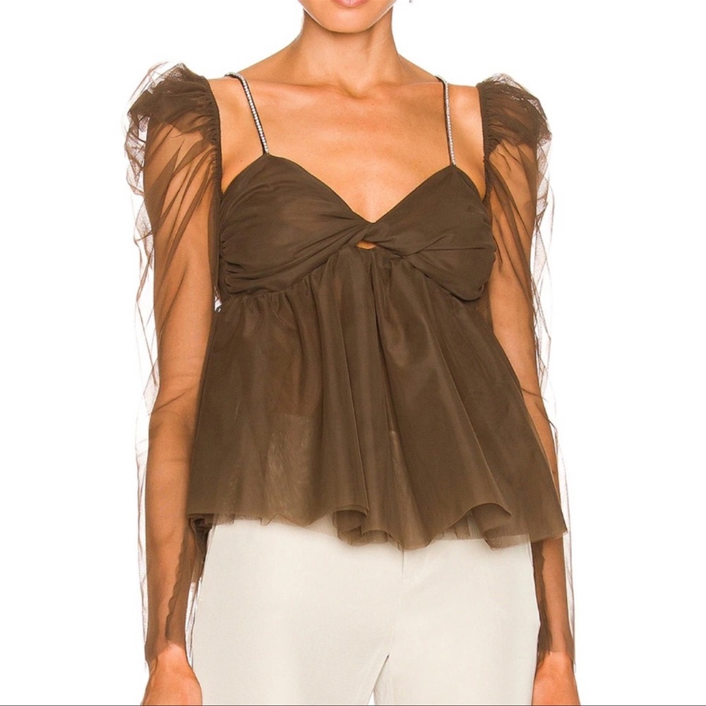 The Bar Brown Sheer Puff Sleeve Top